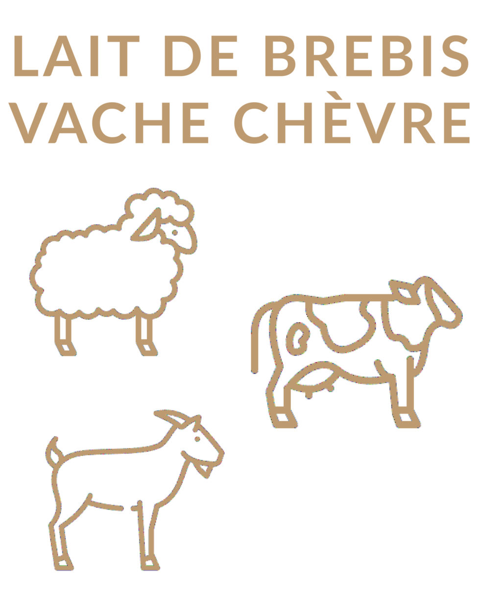 Fromage 3 laits (Vache, brebis, chèvre) main image 1